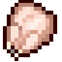 raw_chicken