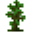 sapling_jungle